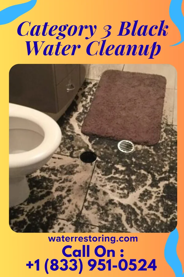 Category 3 Black Water Cleanup in Denham Springs, LA
