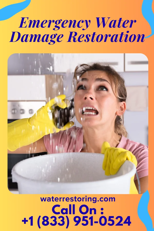 Emergency Water Damage Restoration in Denham Springs, LA