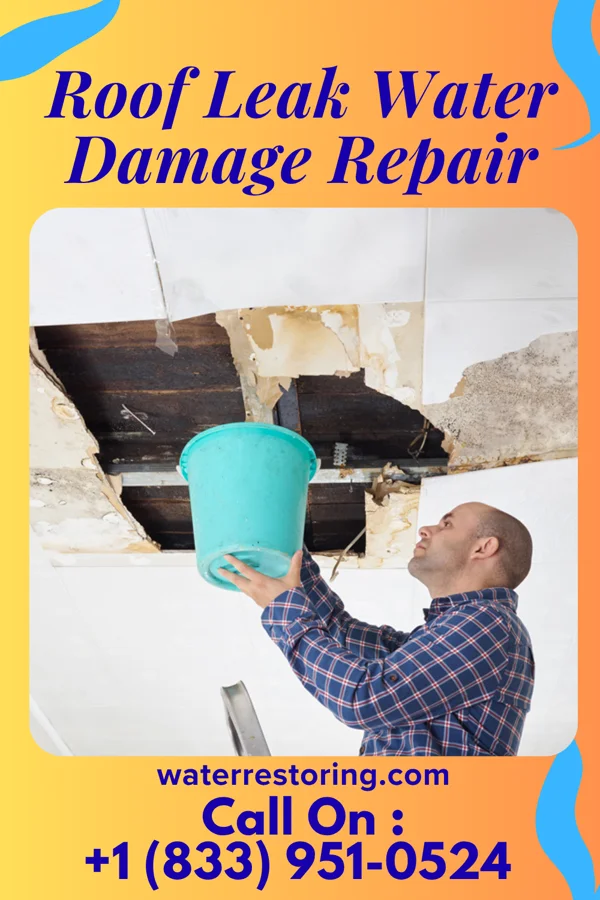 Roof Leak Water Damage Repair in Denham Springs, LA