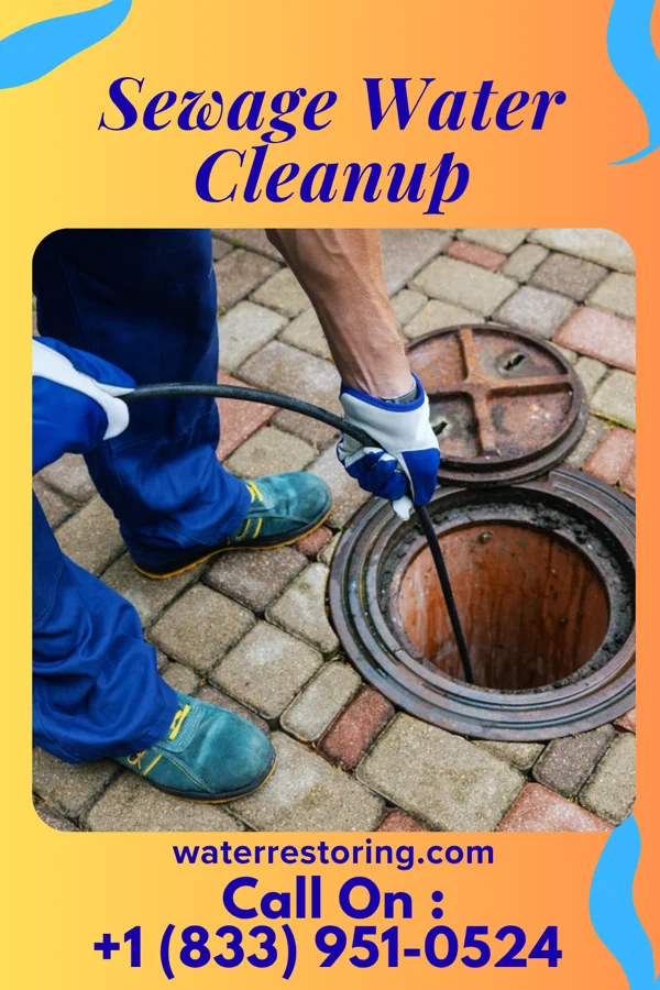 Sewage Water Cleanup in Denham Springs, LA