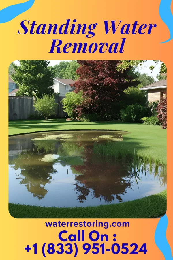 Standing Water Removal in Denham Springs, LA